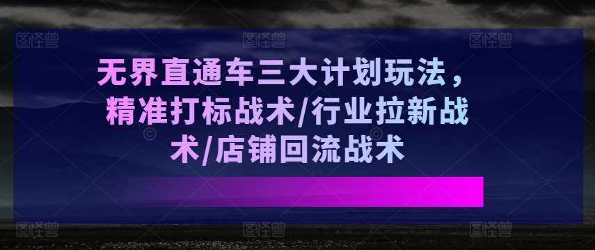 无界直通车三大计划玩法，精准打标战术/行业拉新战术/店铺回流战术-赛德副业库