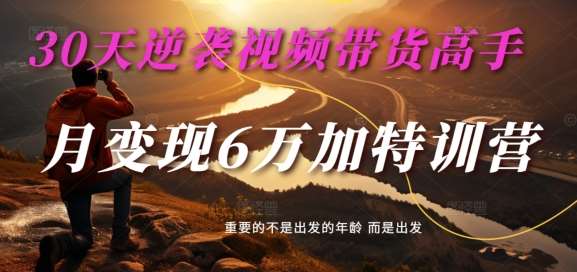 30天逆袭视频带货高手，单月变现6万加特训营-麦子甜-赛德副业库