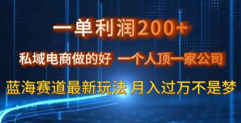 一单利润200私域电商做的好，一个人顶一家公司蓝海赛道最新玩法【揭秘】-赛德副业库