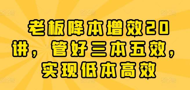 老板降本增效20讲，管好三本五效，实现低本高效-赛德副业库