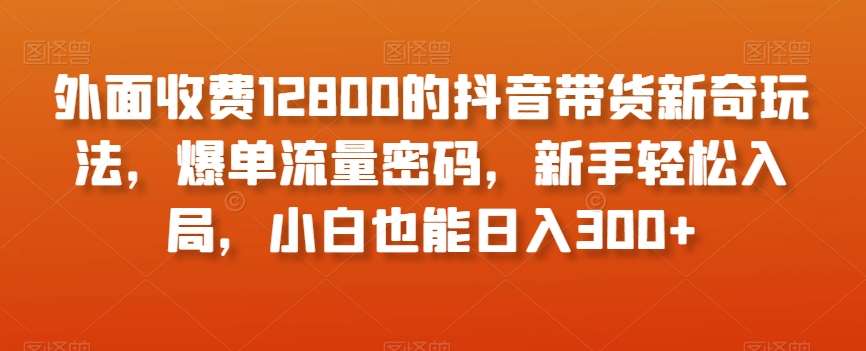 外面收费12800的抖音带货新奇玩法，爆单流量密码，新手轻松入局，小白也能日入300+【揭秘】-赛德副业库