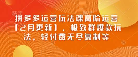 拼多多运营玩法课高阶运营【2月更新】，极致群爆款玩法，轻付费无尽复制等-赛德副业库