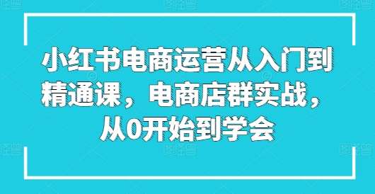 小红书电商运营从入门到精通课，电商店群实战，从0开始到学会-赛德副业库