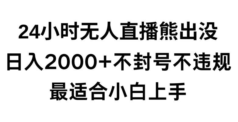 快手24小时无人直播熊出没,不封直播间,不违规,日入2000+,最适合小白上手,保姆式教学【揭秘】-赛德副业库