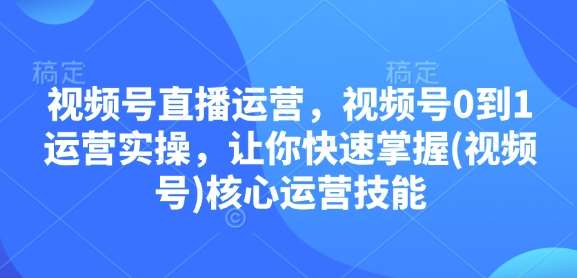 视频号直播运营，视频号0到1运营实操，让你快速掌握(视频号)核心运营技能-赛德副业库