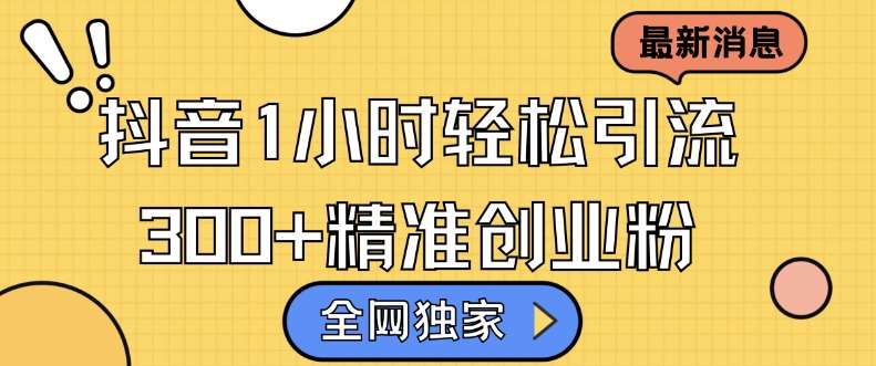 全网独家抖音引流，轻松日引300+精准创业粉【揭秘】-赛德副业库
