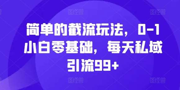 简单的截流玩法，0-1小白零基础，每天私域引流99+【揭秘】-赛德副业库