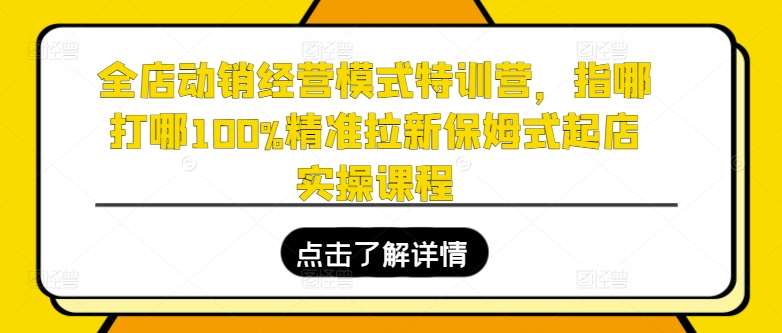 全店动销经营模式特训营，指哪打哪100%精准拉新保姆式起店实操课程-赛德副业库