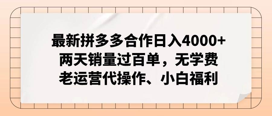 （12869期）拼多多最新合作日入4000+两天销量过百单，无学费、老运营代操作、小白福利-赛德副业库