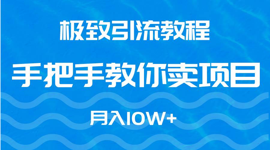 （9265期）极致引流教程，手把手教你卖项目，月入10W+-赛德副业库