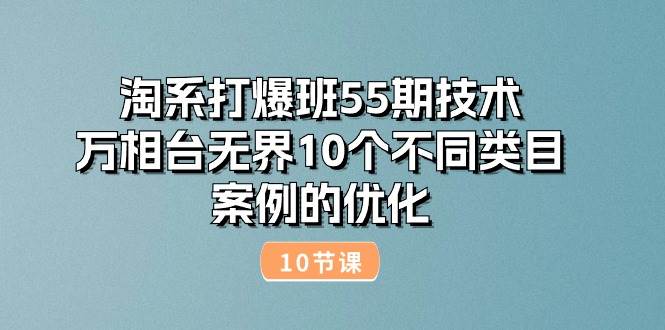 （10996期）淘系打爆班55期技术：万相台无界10个不同类目案例的优化（10节）-赛德副业库