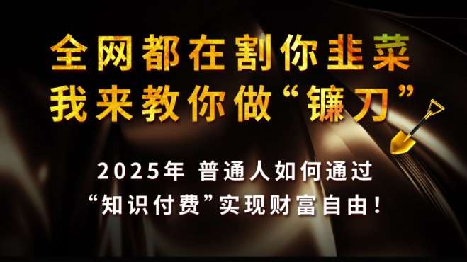 全网都在割你韭菜,我来教你做镰刀,2025普通人如何通过知识付费,实现财F自由【揭秘】-赛德副业库
