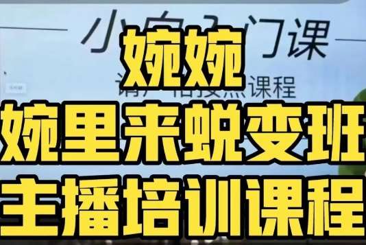 婉婉·婉里来蜕变班（主播课）全方位理解底层逻辑并灵活运用-赛德副业库