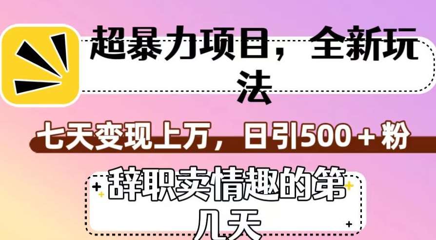 超暴利项目,全新玩法(辞职卖情趣的第几天),七天变现上万,日引500+粉【揭秘】-赛德副业库