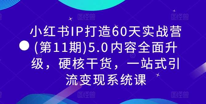 小红书IP打造60天实战营(第11期)5.0​内容全面升级，硬核干货，一站式引流变现系统课-赛德副业库