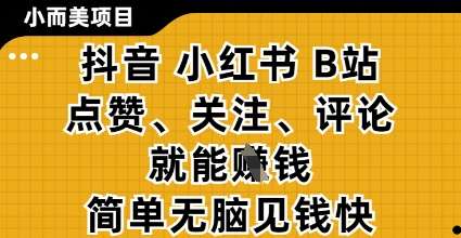 小而美的项目,抖音小红书B站视频点赞、关注、评论就能挣钱,简单无脑立见收益,妥妥的零撸项目【揭秘】-赛德副业库