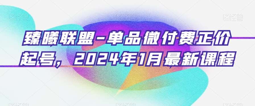 臻曦联盟-单品微付费正价起号，2024年1月最新课程-赛德副业库