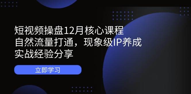 (14447期)短视频操盘12月核心课程:自然流量打通,现象级IP养成,实战经验分享-赛德副业库