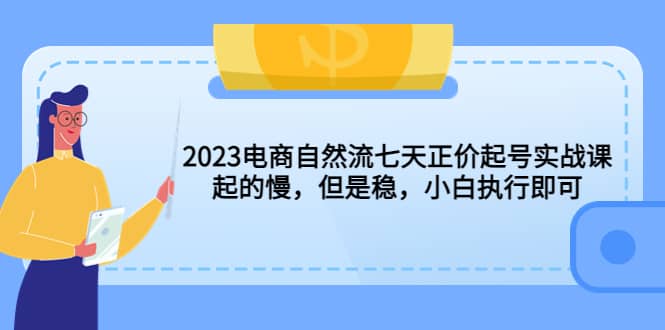 2023电商自然流七天正价起号实战课：起的慢，但是稳，小白执行即可-赛德副业库