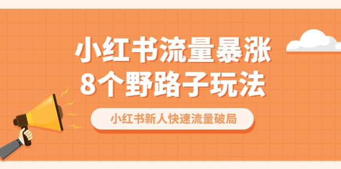 小红书流量-暴涨8个野路子玩法:小红书新人快速流量破局(8节课)-赛德副业库