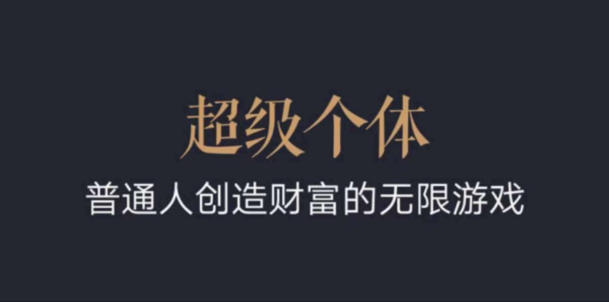 超级个体：2024-2025翻盘指南，普通人创造财富的无限游戏-赛德副业库