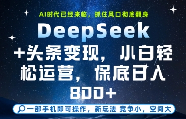 DeepSeek+头条变现，保姆级教学，小白轻松上手，日入8张+【揭秘】-赛德副业库