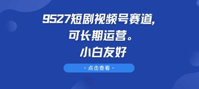 9527短剧视频号赛道，可长期运营，小白友好【揭秘】-赛德副业库