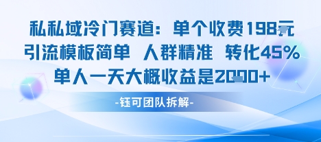 私域冷门赛道单个收费198米引流模板简单人群精准 45%的转化率单人一天大概收益多张-赛德副业库