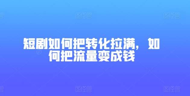 短剧如何把转化拉满，如何把流量变成钱-赛德副业库