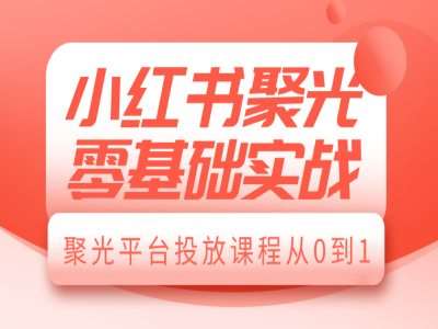 小红书聚光零基础实战,聚光平台投放课程从0到1-赛德副业库