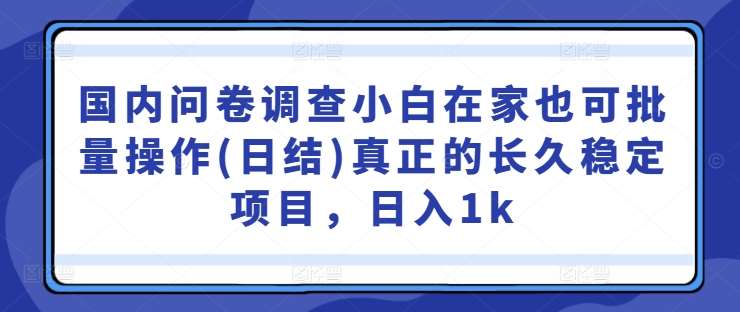 国内问卷调查小白在家也可批量操作(日结)真正的长久稳定项目,日入1k【揭秘】-赛德副业库