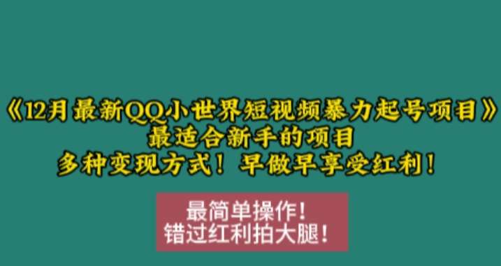 12月最新QQ小世界短视频暴力起号项目，最适合新手的项目，多种变现方式-赛德副业库