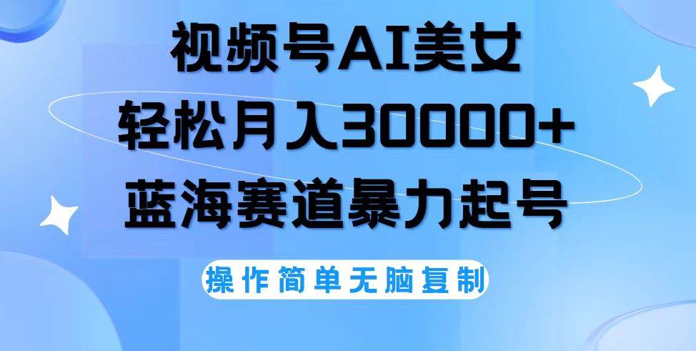 （12125期）视频号AI美女跳舞，轻松月入30000+，蓝海赛道，流量池巨大，起号猛，无…-赛德副业库