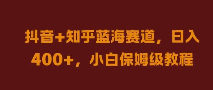 抖音+知乎蓝海赛道，日入几张，小白保姆级教程【揭秘】-赛德副业库
