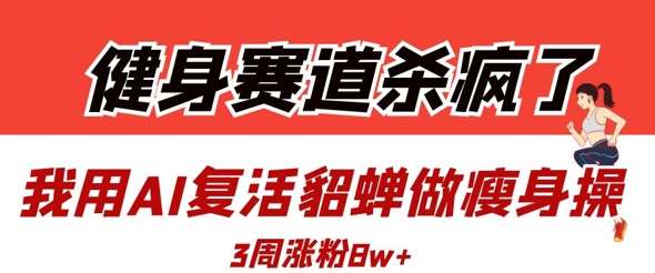 健身赛道杀疯了？我用AI复活貂蝉做瘦身操，3周涨粉8W-赛德副业库