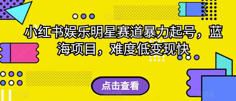 小红书娱乐明星赛道暴力起号，蓝海项目，难度低变现快【揭秘】-赛德副业库
