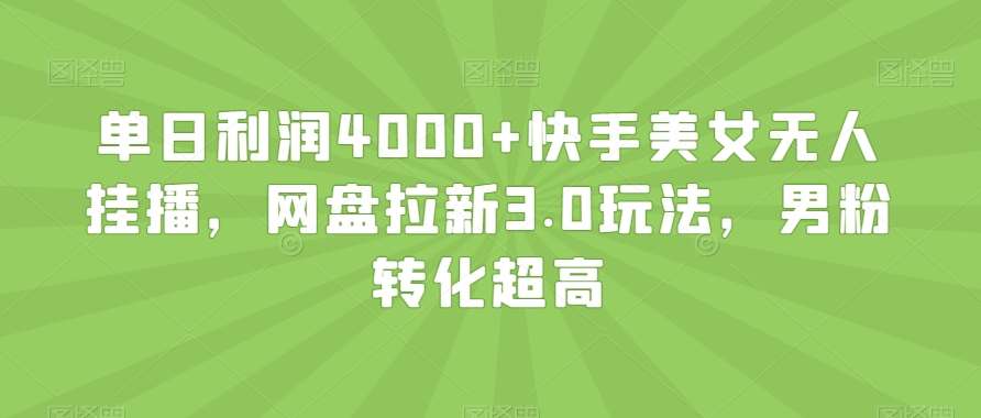 单日利润4000+快手美女无人挂播,网盘拉新3.0玩法,男粉转化超高【揭秘】-赛德副业库