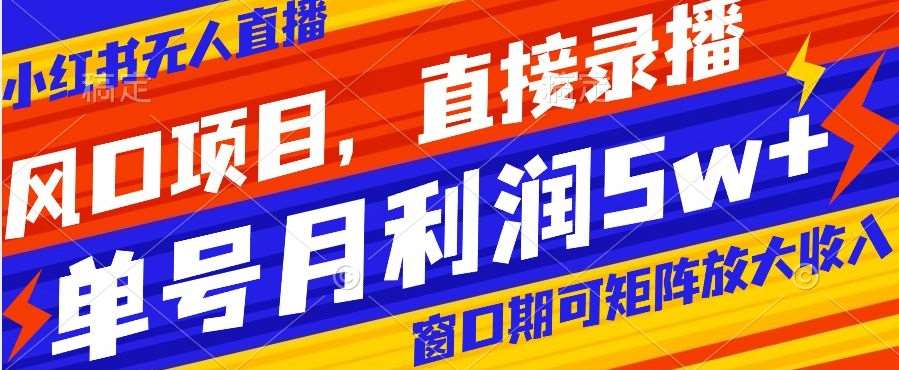 风口项目，小红书无人直播带货，直接录播，可矩阵，月入5w+【揭秘】-赛德副业库