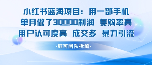 小红书蓝海项目,一部手机单月做了3W利润,小白也能月入过1W用户认可度高成交多-赛德副业库