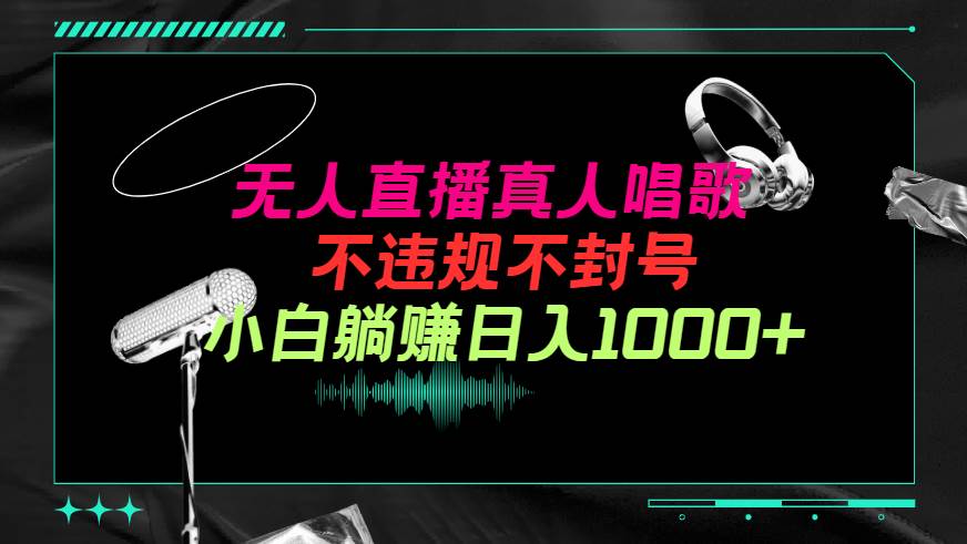 (9622期）抖音24小时无人直播音乐，不违规，不封号纯撸音浪，小白实操当天日入1000+-赛德副业库