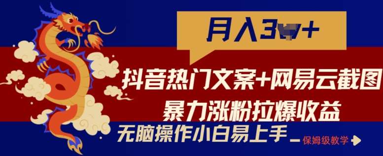抖音热门文案+网易云截图暴力涨粉拉爆收益玩法，小白无脑操作，简单易上手【揭秘】-赛德副业库