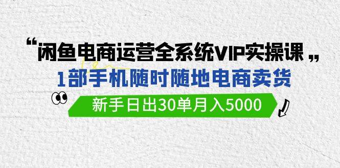 （9547期）闲鱼电商运营全系统VIP实战课，1部手机随时随地卖货，新手日出30单月入5000-赛德副业库