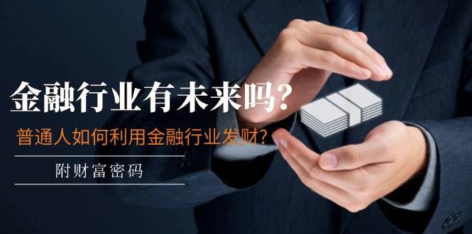 （11499期）某付费文章：金融行业有未来吗？普通人如何利用金融行业发财?(附财富密码)-赛德副业库