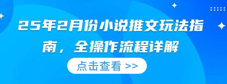 25年2月份小说推文玩法指南，全操作流程详解-赛德副业库