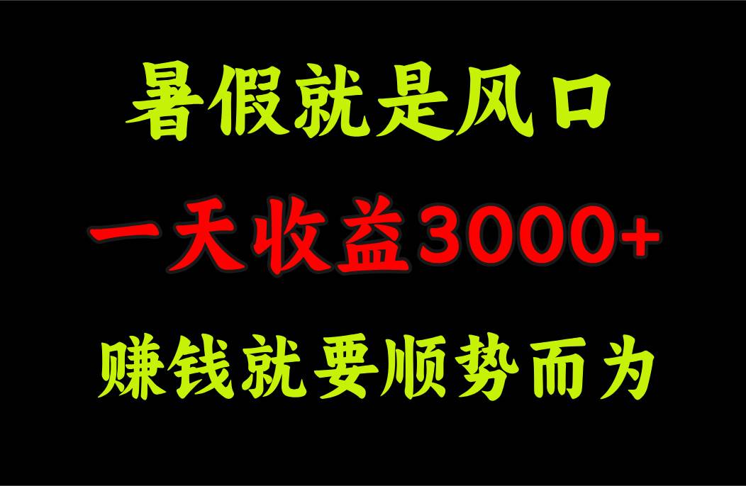 （11670期）一天收益3000+ 赚钱就是顺势而为，暑假就是风口-赛德副业库
