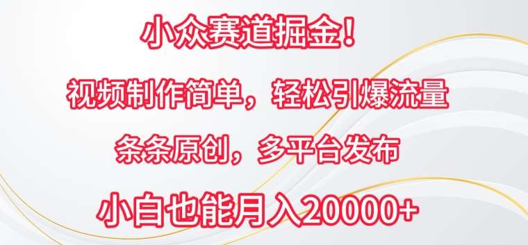 小众赛道掘金，视频制作简单，轻松引爆流量，条条原创，多平台发布【揭秘】-赛德副业库