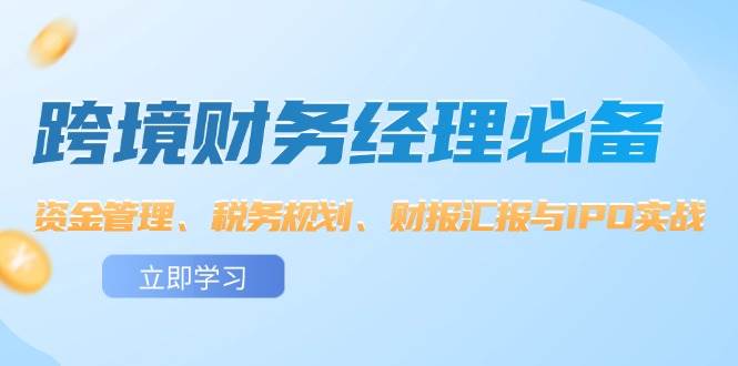 （12323期）跨境 财务经理必备：资金管理、税务规划、财报汇报与IPO实战-赛德副业库
