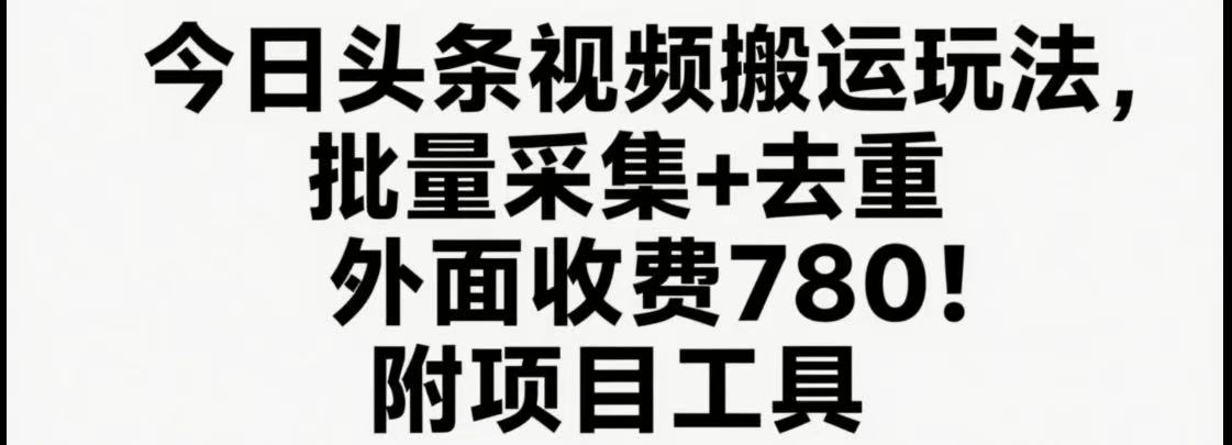 今日头条视频搬运玩法，软件一键去重，轻松日入500+附项目工具-赛德副业库