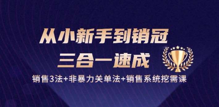 从小新手到销冠 三合一速成：销售3法+非暴力关单法+销售系统挖需课 (27节)-赛德副业库