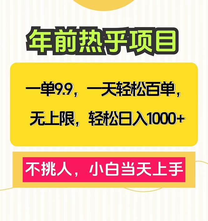 （13795期）一单9.9，一天百单无上限，不挑人，小白当天上手，轻松日入1000+-赛德副业库